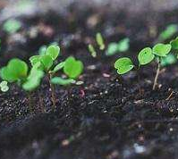 水污染防治攻堅(jiān)進(jìn)入落地期 五大戰(zhàn)役?？小坝补穷^”