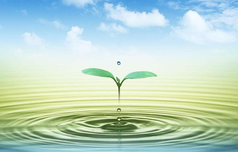 多重壁壘與千億契機(jī)并存：污泥處置如何實(shí)現(xiàn)彎道超車