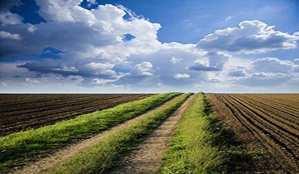 2017年土壤修復(fù)行業(yè)發(fā)展評(píng)述和2018年發(fā)展展望