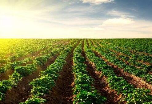 土壤修復(fù)市場：環(huán)保產(chǎn)業(yè)的最后一塊“蛋糕”