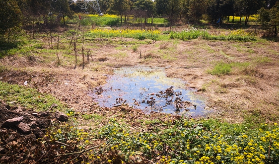 市政污泥無(wú)害化處置技術(shù)研究與可行性探討