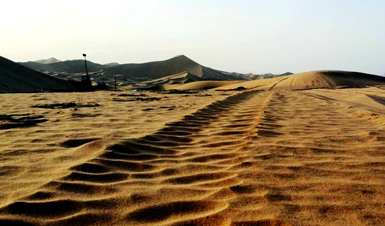 土壤修復(fù)產(chǎn)業(yè):今年的市場資金量將超過100億